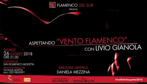 Aspettando Vento Flamenco Con Livio Gianola - Molfetta