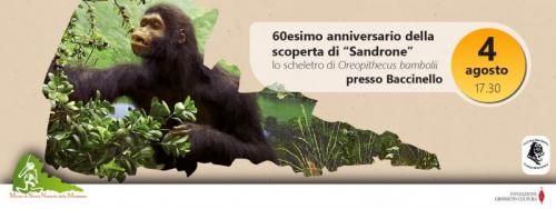 Sandrone, La Scimmia Vissuta 8, 5 Milioni Di Anni Fa - Scansano