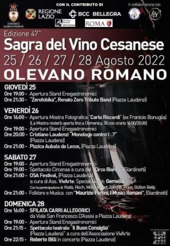 La Sagra Del Cesanese A Olevano Romano - Olevano Romano