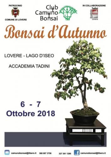 Bonsai D'autunno Mostra A Lovere - Lovere