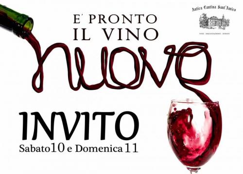 Weekend Con Il Vino Nuovo In Cantina Storica A Morro D'alba - Morro D'alba