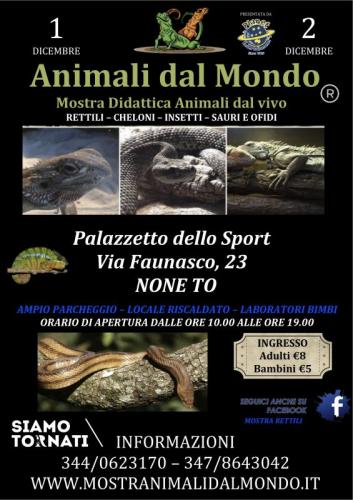 Animali Dal Mondo  - None