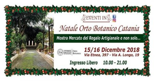 Il Natale All'orto Botanico A Catania - Catania