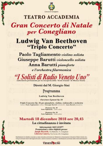Gran Concerto Di Natale A Conegliano - Conegliano