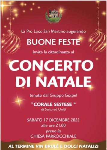 Concerto Di Natale A San Martino Dall'argine - San Martino Dall'argine