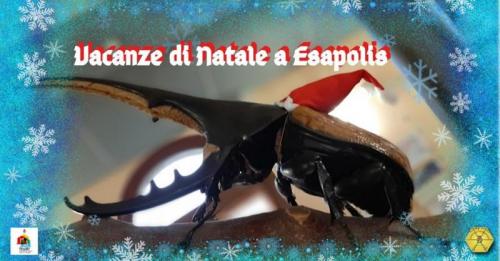 Vacanze Di Natale A Esapolis - Padova