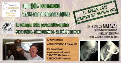 Seminario Di Etologia Equina A Cernusco Sul Naviglio - Cernusco Sul Naviglio