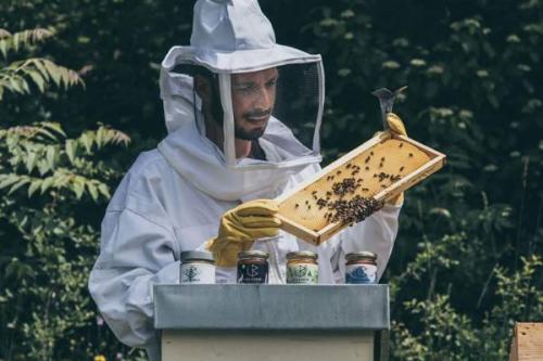 La Vita Delle Api - L'attività Dell'apicoltore - Fabriano
