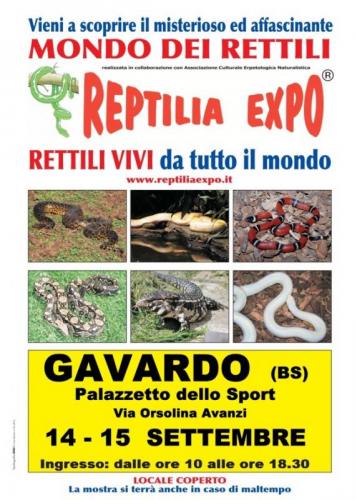 Reptilia Expo - L'affascinante Mondo Dei Rettili A Gavardo - Gavardo