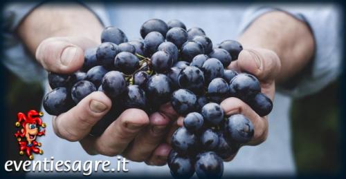 Festa Dell'uva E Dell'agricoltura A Trescore Balneario - Trescore Balneario
