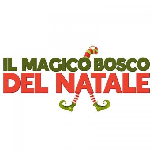 Il Magico Bosco Del Natale A Cassino - Cassino