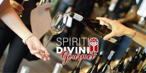 Spiriti Divini Gourmet A Faenza - Faenza