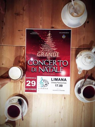 Grande Concerto Di Natale A Limana - Limana