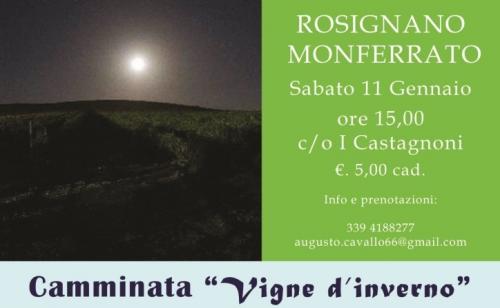 Camminata Vigne D'inverno A Rosignano Monferrato - Rosignano Monferrato