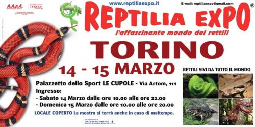 Reptilia Expo - L'affascinante Mondo Dei Rettili A Torino - Torino