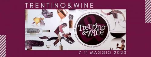 Mostra Dei Vini Del Trentino A Trento - Trento