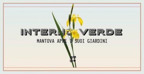 Interno Verde A Mantova - Mantova