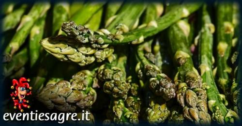 La Sagra Dell'asparago Selvatico A Tissi - Tissi