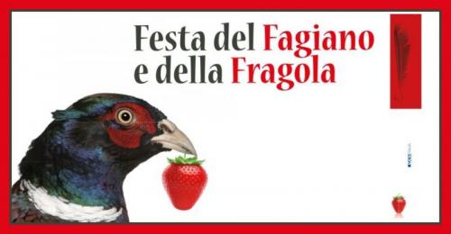 La Festa Del Fagiano E Della Fragola A Fano - Fano