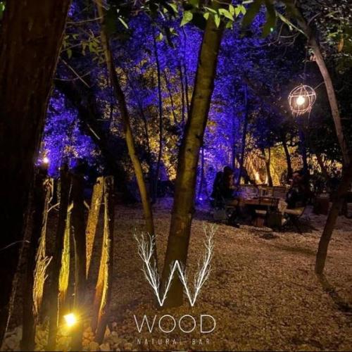 Wood Natural Music - Roma