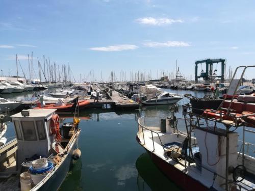 La Piccola Pesca In Festa A San Benedetto Del Tronto - San Benedetto Del Tronto