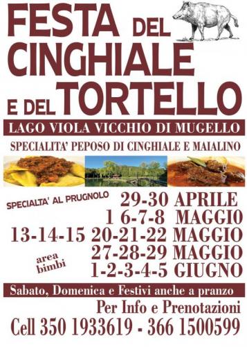 Festa Del Cinghiale E Del Tortello - Vicchio