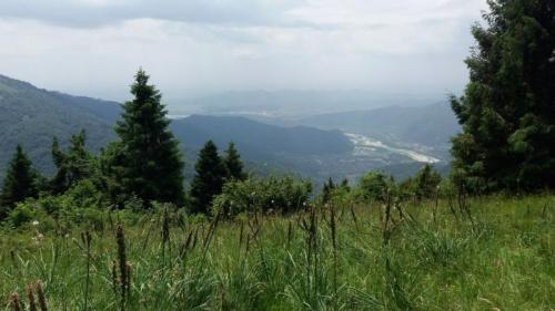 Il Monte Doc Tra Verdi Pascoli E Panorami Mozzafiato - Segusino