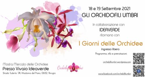 I Giorni Delle Orchidee - Perugia