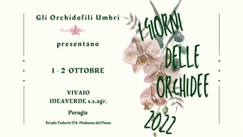 I Giorni Delle Orchidee  - Perugia