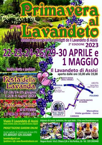 Primavera Al Lavandeto Di Assisi - Assisi