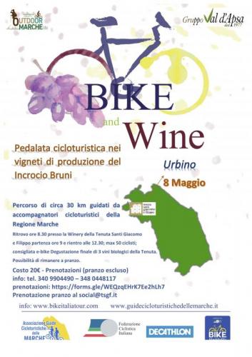 Pedalata Cicloturistica Nei Vigneti Di Produzione Del Vino Incrocio Bruni - Urbino