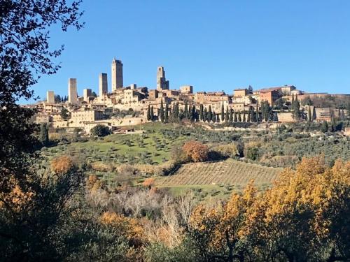 Trekking Cultura E Sapori A San Gimignano - San Gimignano