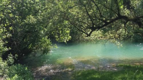 Benvenuta Estate: Bagno Di Foresta Tra Le Sorgenti Del Livenza - Polcenigo
