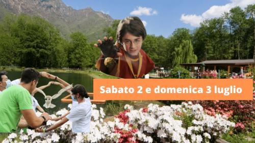 Festa D'estate Al Lago Delle Rose - Ornavasso