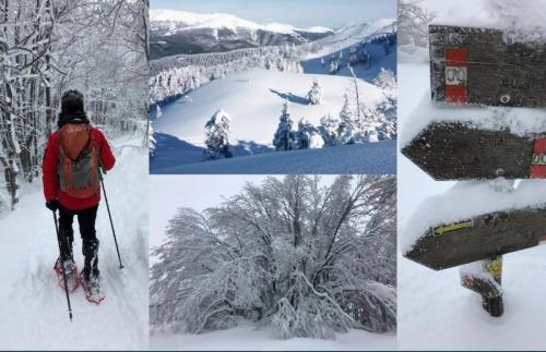 Passeggiate Invernali Con Le Ciaspole Nelle Montagne Toscane - Pistoia