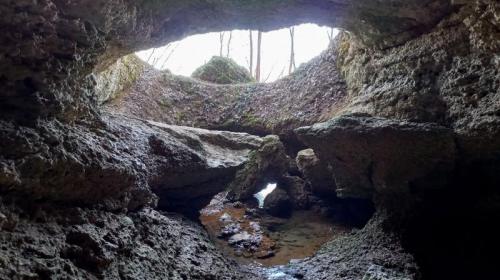 Passeggiata Sul Montello Tra Bunker, Grotte E Il Fiume Piave - Nervesa Della Battaglia
