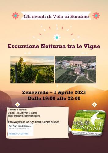 Escursione Notturna In Vigna - Zenevredo