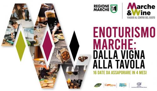 Wine Tour Delle Marche - 