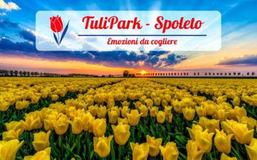 Tulipark Spoleto - Spoleto