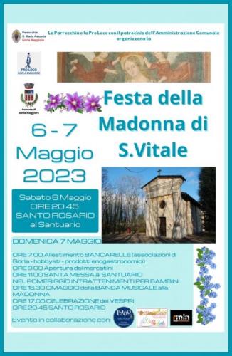 Festa Della Madonna Di S. Vitale A Gorla Maggiore - Gorla Maggiore