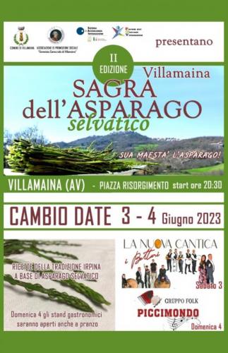 Sagra Dell'asparago Selvatico A Villamaina - Villamaina