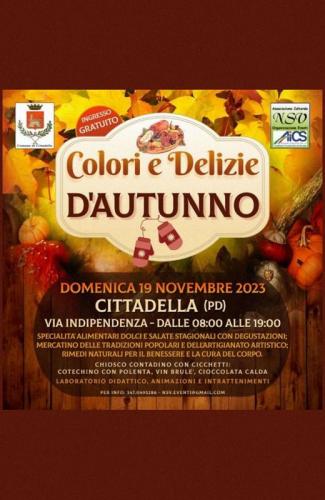 Colori E Delizie D'autunno A Cittadella - Cittadella