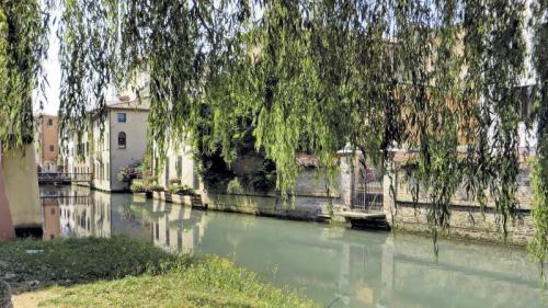 Treviso Insolita: Tour Guidato Fra Leggende, Misteri E Curiosità - Treviso