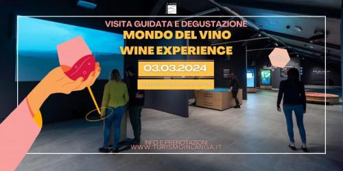Visita Guidata E Degustazione A Mondodelvino Wine Experience - Priocca