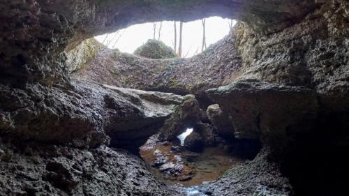 Passeggiata Sul Montello Tra Bunker, Grotte E Il Fiume Piave - Nervesa Della Battaglia