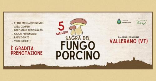 La Sagra Del Fungo Porcino A Vallerano - Vallerano