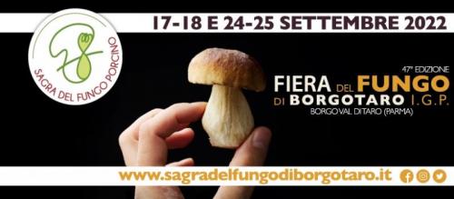 Fiera Del Fungo Di Borgotaro Igp - Borgo Val Di Taro