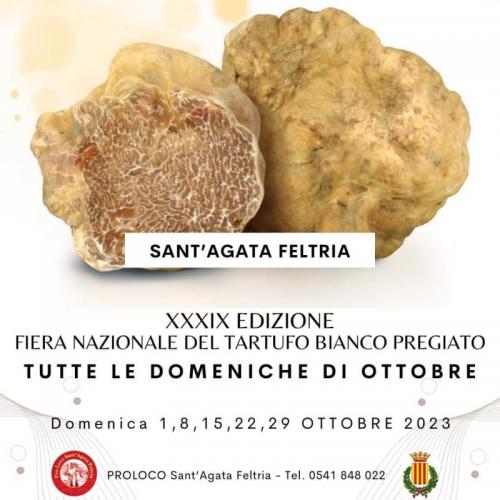 Fiera Nazionale Del Tartufo Bianco Pregiato - Sant'agata Feltria