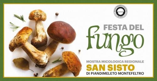 Festa Del Fungo - Piandimeleto