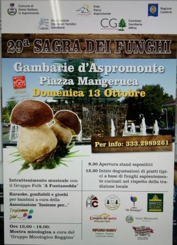 Sagra Dei Funghi - Santo Stefano In Aspromonte